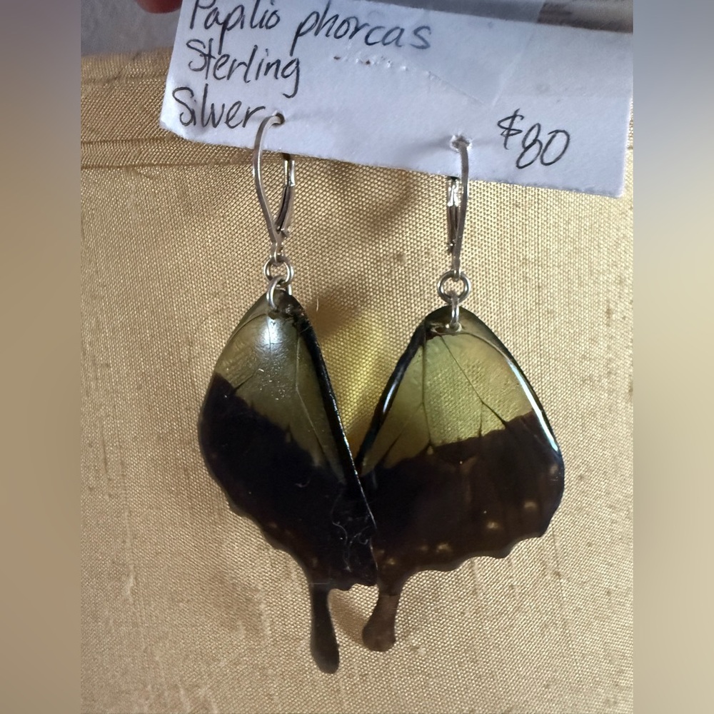 NWTButterfly Wing Drop Earrings